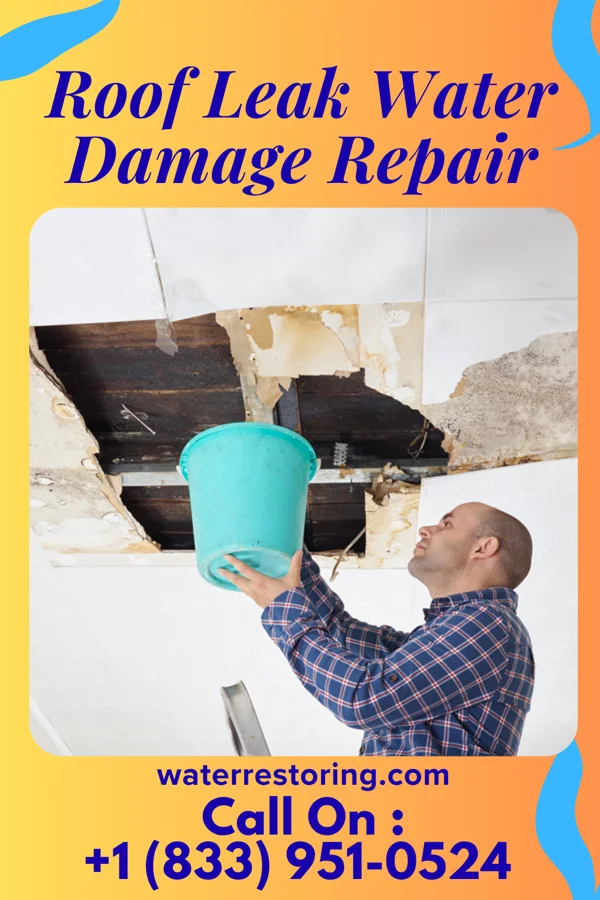 Roof Leak Water Damage Repair in Pekin, ND